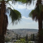 dsc00401